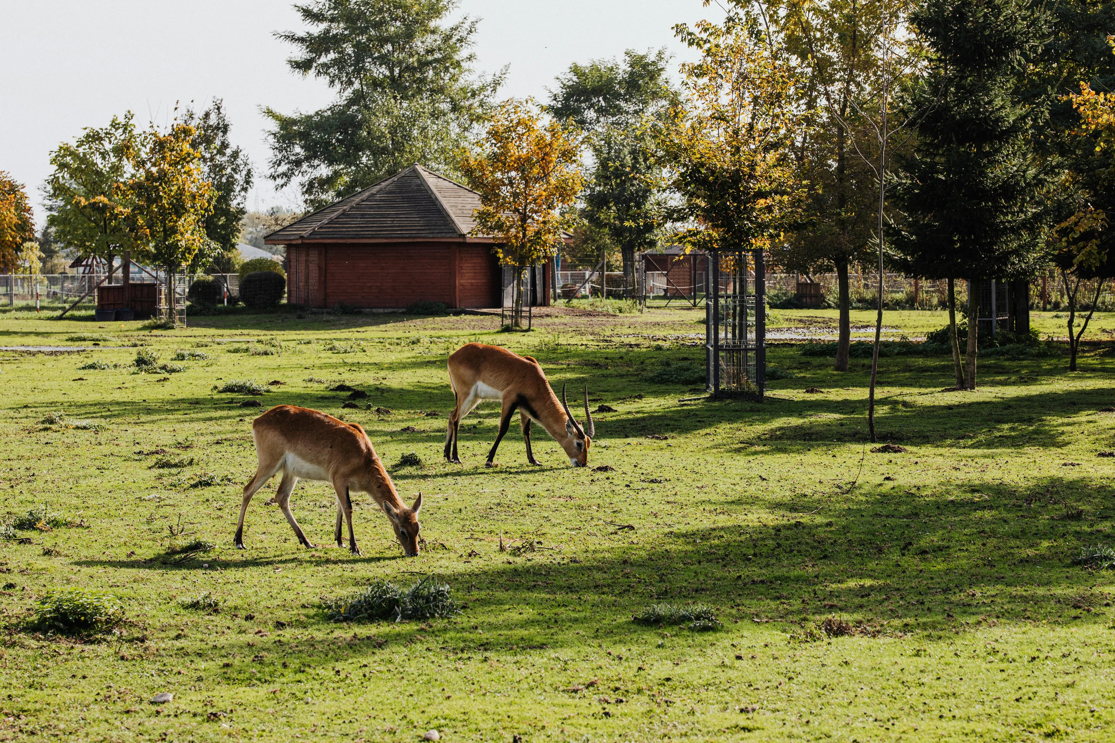 フスタイ国立公園