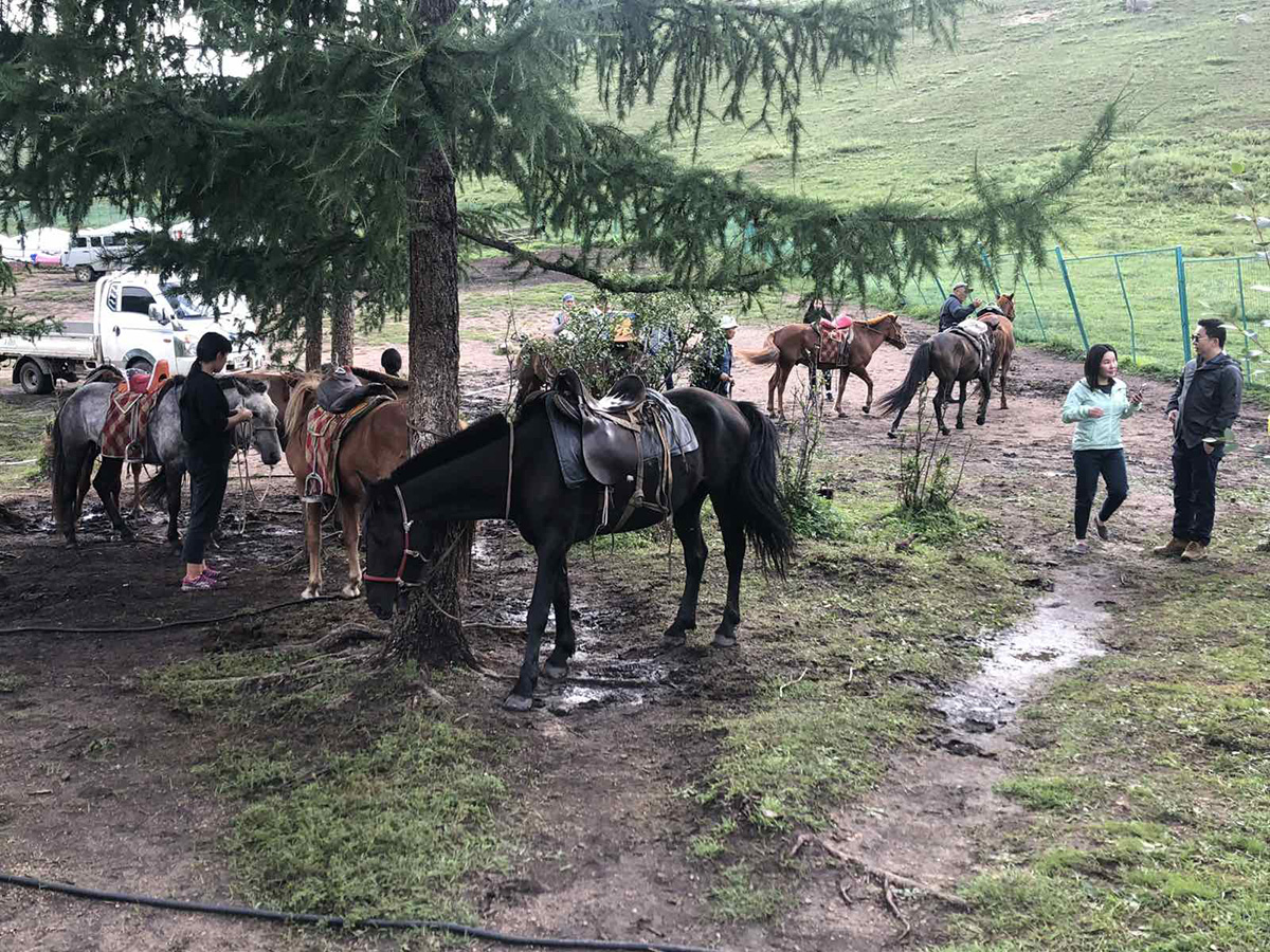 Khustai National Park